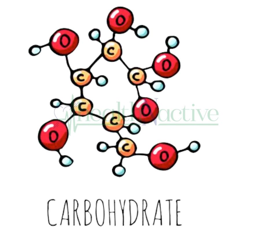 What is Carbohydrate